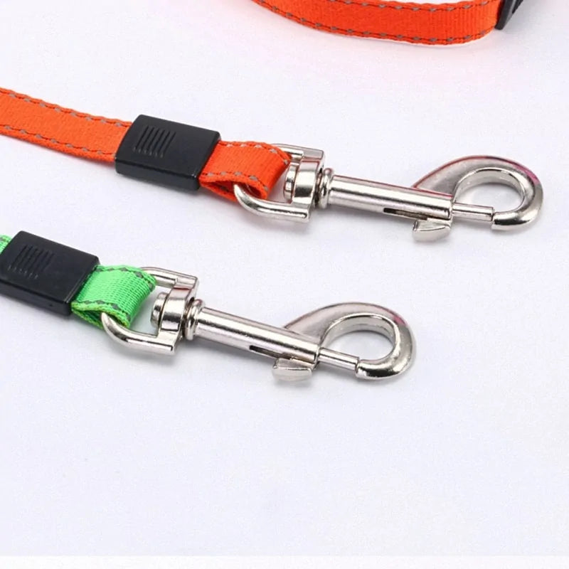 Double Dog Leash