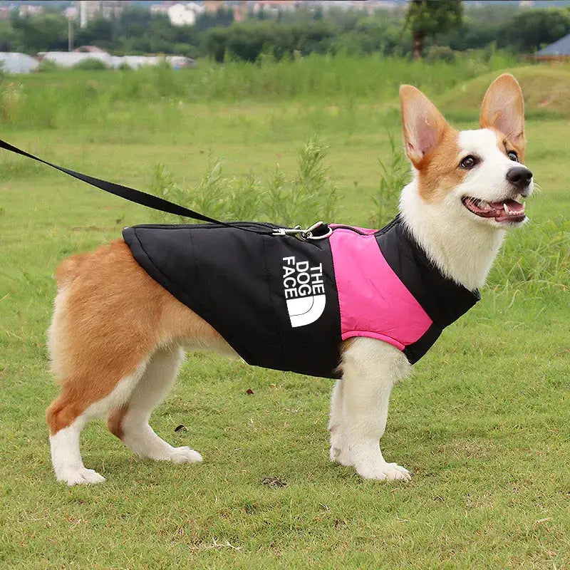 Waterproof Winter Dog Vest Pet Paradise