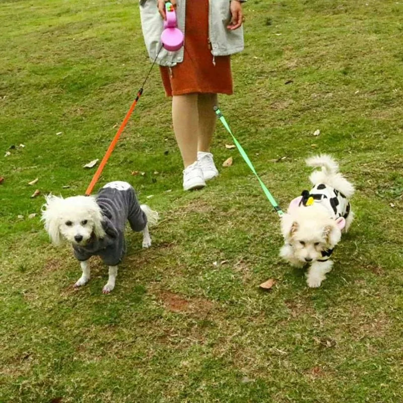 Double Dog Leash